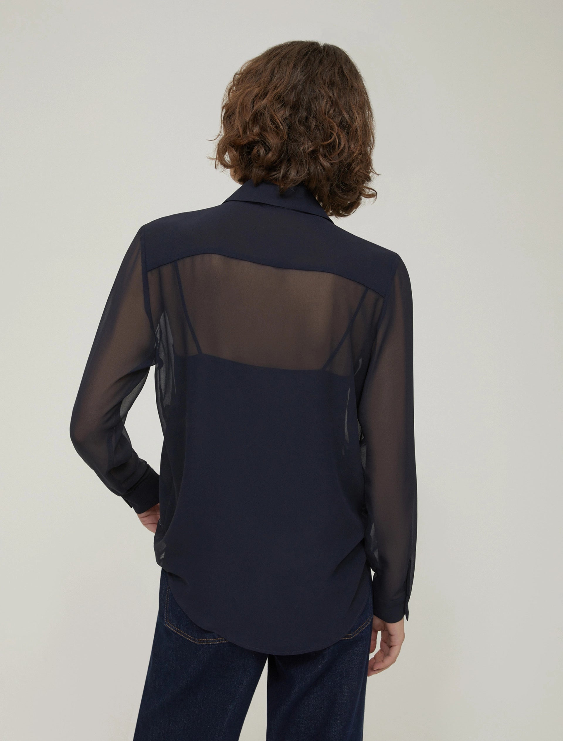 The Embroidered Sheer Shirt Blouse