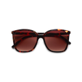 Have A Look Nymph Tortoise Sunglasses