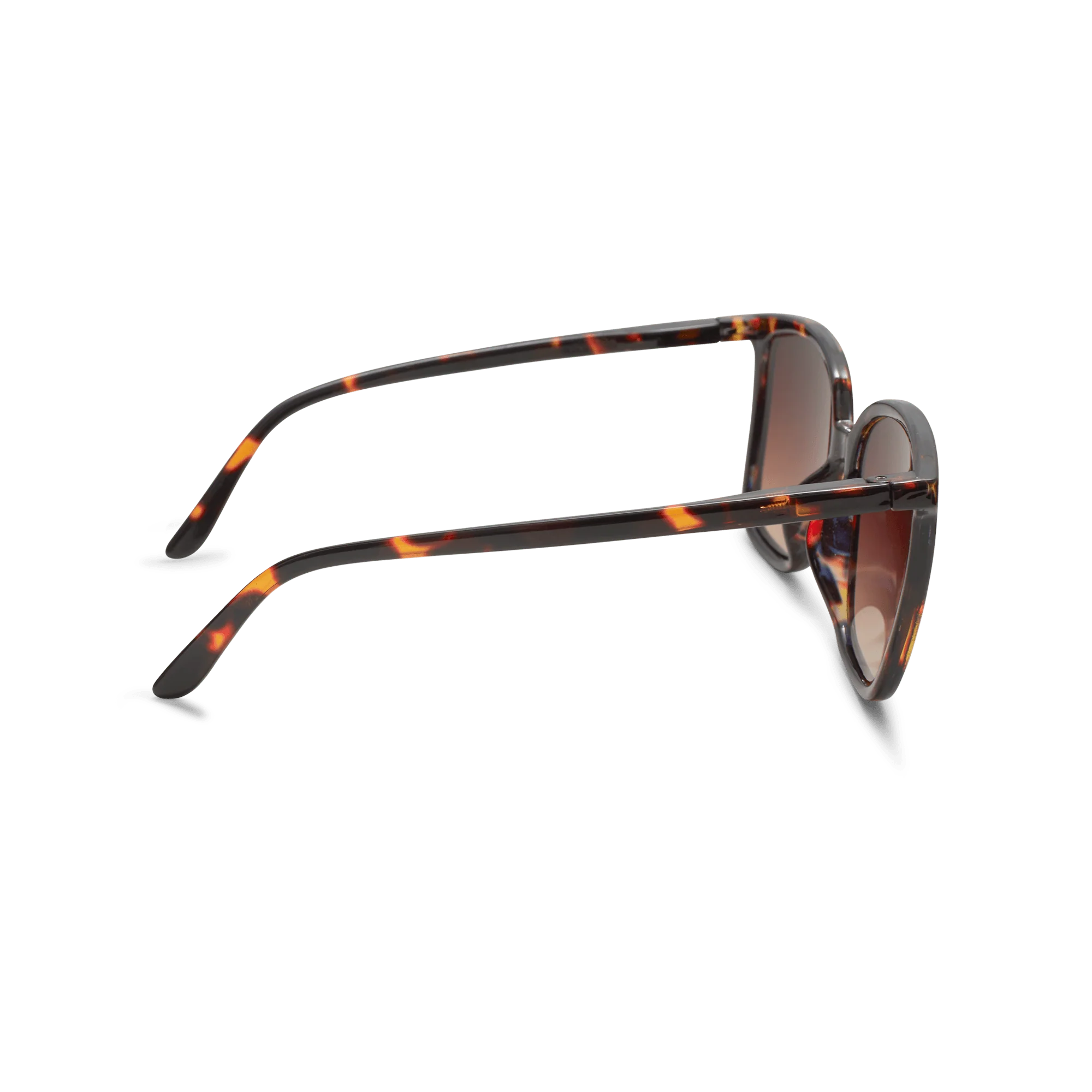 Have A Look Nymph Tortoise Sunglasses